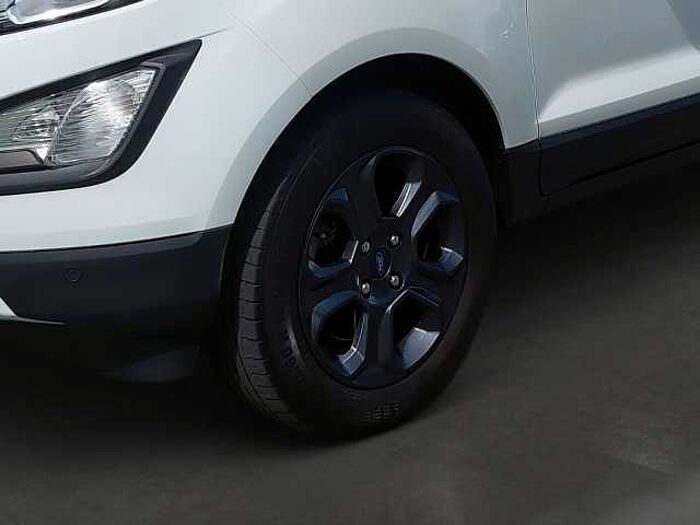 Ford EcoSport Trend*1.HAND*KLIMA*SHZG*LRH*